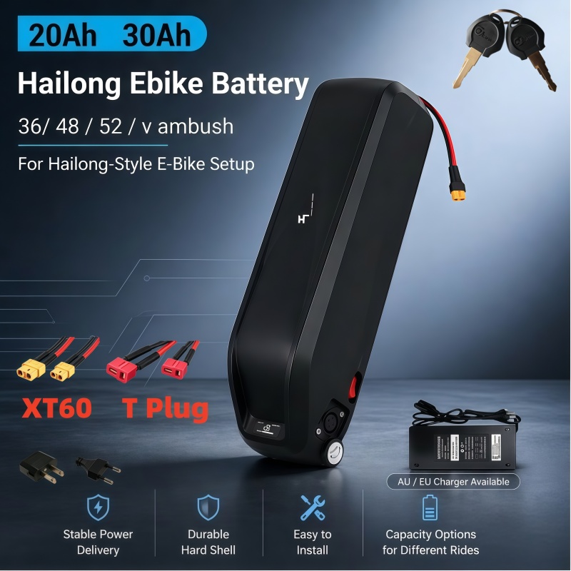 Baterai Hailong Serbaguna, Mul - Ebike Battery 48V 20Ah Hailong ulasan dan harga